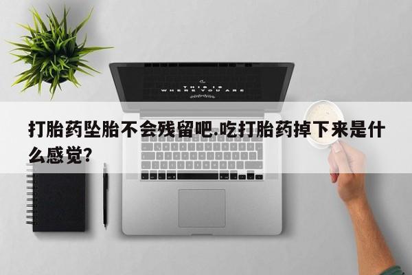 售米非司酮片 包邮打胎药坠胎不会残留吧.吃打胎药掉下来是什么感觉？