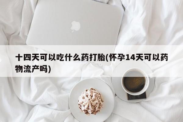 售米非司酮片 包邮十四天可以吃什么药打胎(怀孕14天可以药物流产吗)